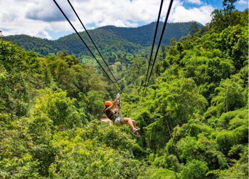رحلة تايلاند الساحرة: بانكوك، شيانغ ماي، وفوكيت