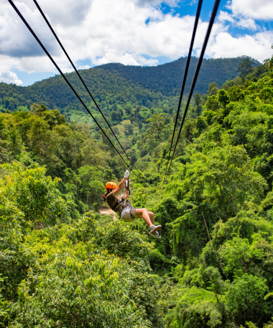 رحلة تايلاند الساحرة: بانكوك، شيانغ ماي، وفوكيت