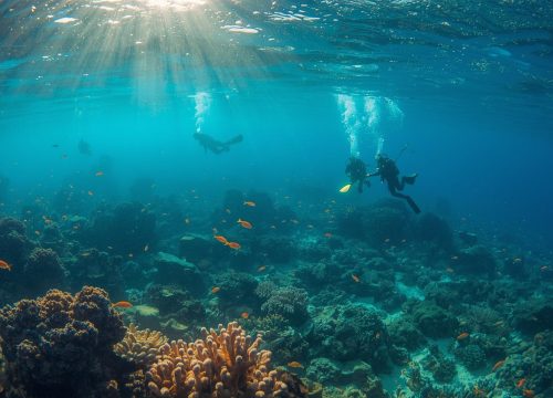 رحلة الغوص والسنوركلينج في البلو هول (دهب)